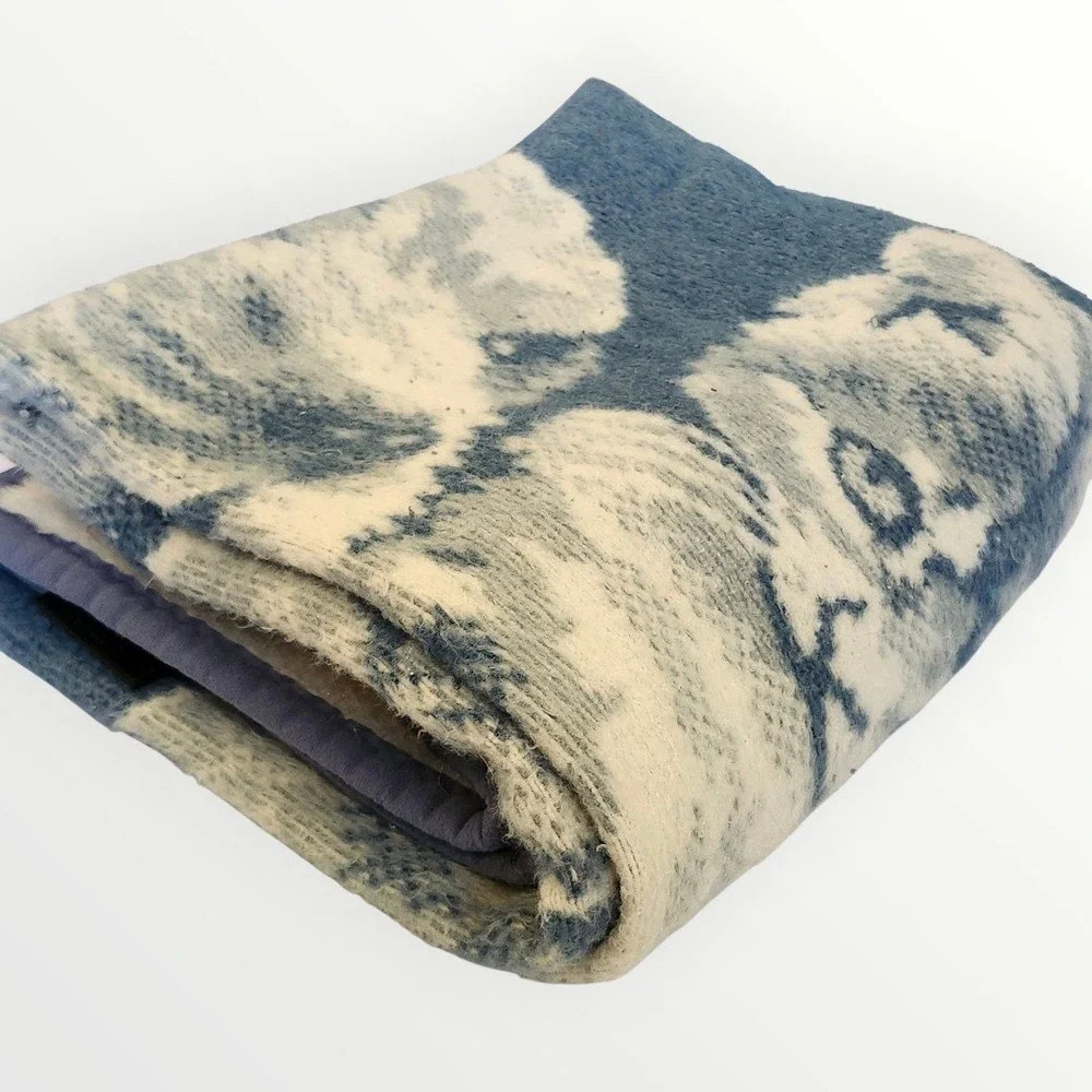 Vintage Ibena Blanket Blue Puppy Kitten Reversible Cottagecore Appx. 60x73